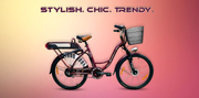 Electrical Bicycles -A Cheaper and Eco-friendly Mode of Transportation