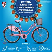  Best Bicycle for Girl in India